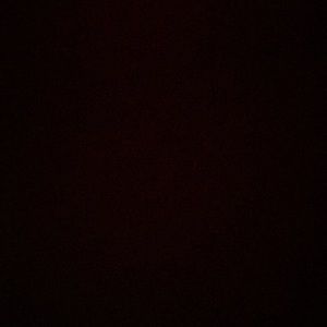 Meet your Posher, Julius